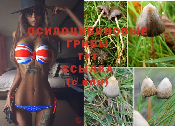 каннабис Богородск
