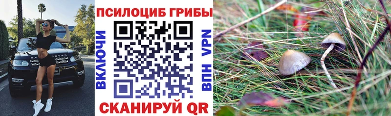 Галлюциногенные грибы мицелий  Купить закладки  Можга 
